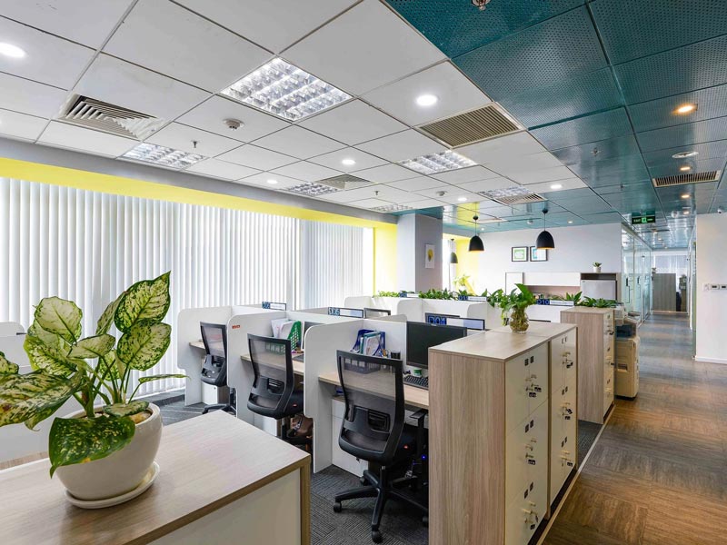 https://sts-vn.com/sen-office-vincom-le-thanh-ton-1673784204