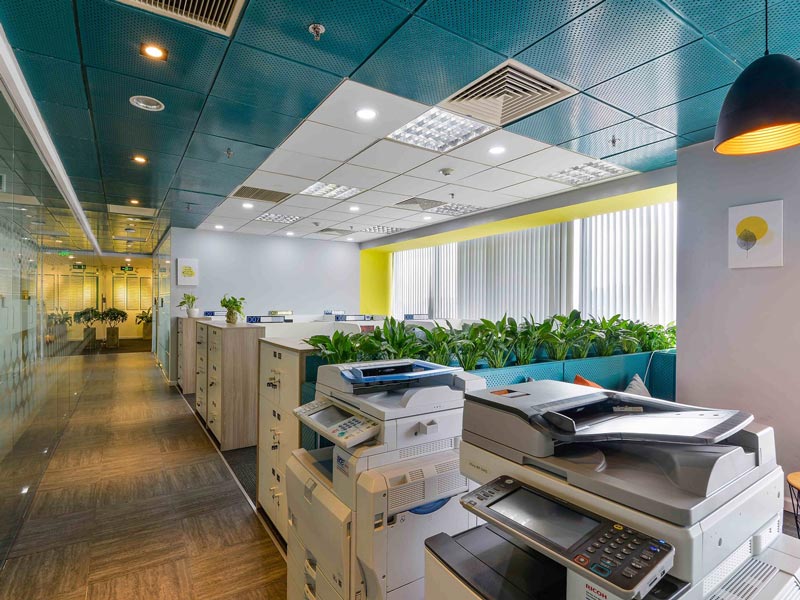 https://sts-vn.com/sen-office-vincom-le-thanh-ton-1673784204